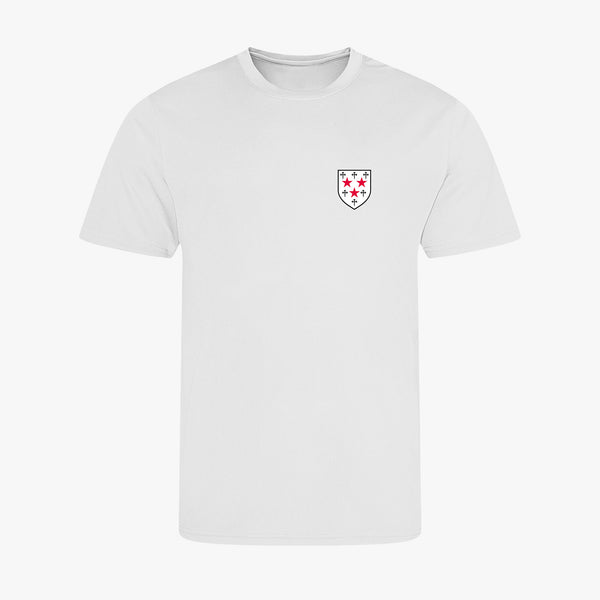 Load image into Gallery viewer, Somerville College Men's Recycled Sports T-Shirt