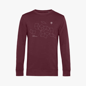 Oxford Mathematics Organic Men's Sweatshirt