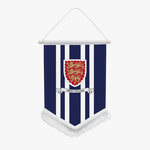 Oxford College Pennant