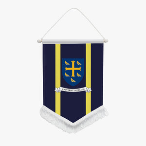 University College Pennant